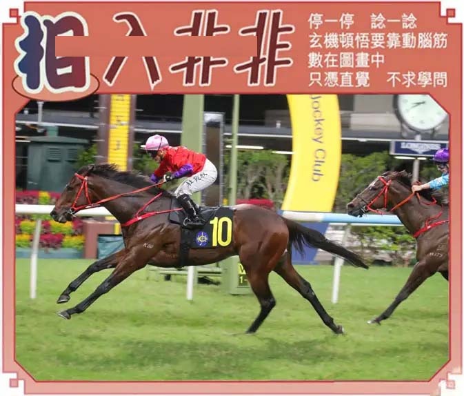 015期相入非非[图]